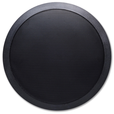 Двухполосный потолочный громкоговоритель 