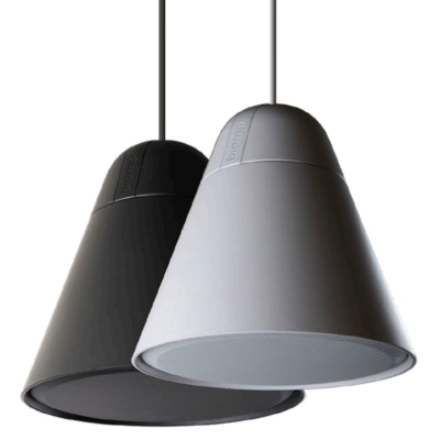Подвесная акустическая система P30DT-BL