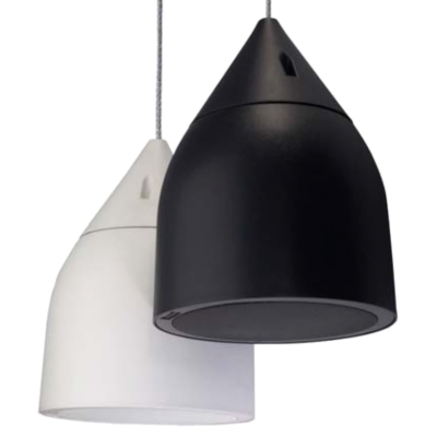 Двухполосная подвесная акустическая система DP6-W