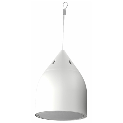 Двухполосная подвесная акустическая система