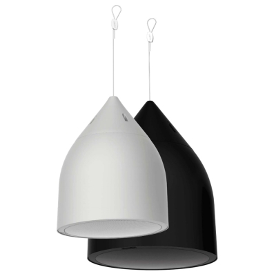 Двухполосная подвесная акустическая система DP8-B