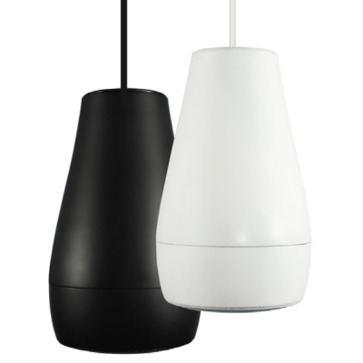 Двухполосная подвесная акустическая система P6-B