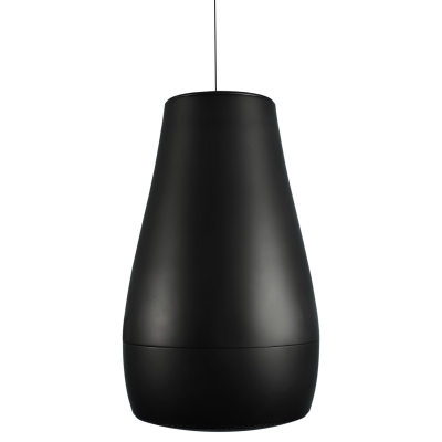 Двухполосная подвесная акустическая система