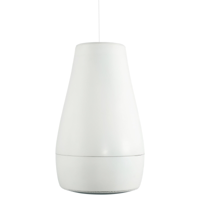 Двухполосная подвесная акустическая система