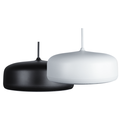 Двухполосная подвесная акустическая система P6-SM-W