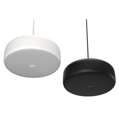 Двухполосная подвесная акустическая система P6-SM-B