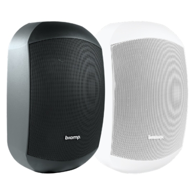 Двухполосный настенный громкоговоритель MASK6C-W