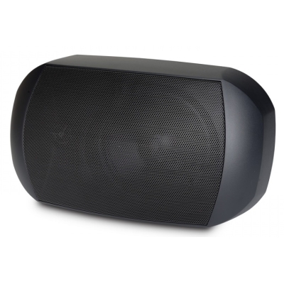 Двухполосный настенный громкоговоритель MASK6CT-W