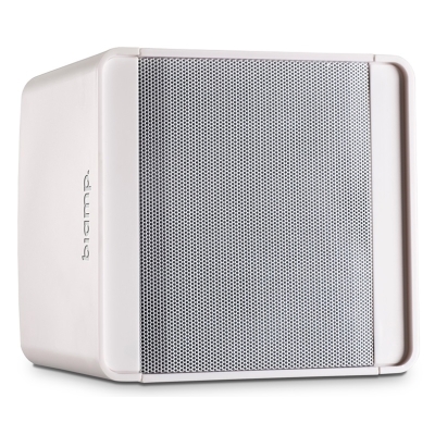 Двухполосный настенный громкоговоритель