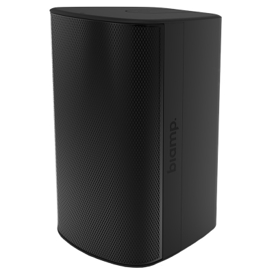 Двухполосный настенный громкоговоритель