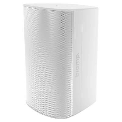 Двухполосный настенный громкоговоритель EX-S6-UB-B