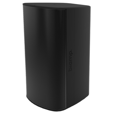 Двухполосный настенный громкоговоритель EX-S8-UB-W