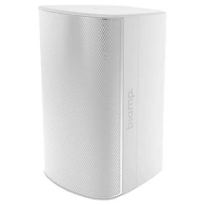 Двухполосный настенный громкоговоритель EX-S10-CM-B