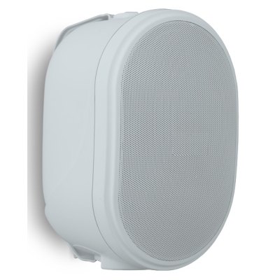 Двухполосный настенный громкоговоритель