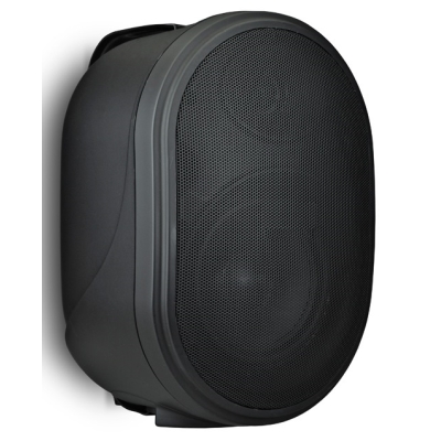 Двухполосный настенный громкоговоритель