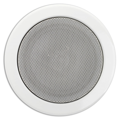 Двухполосный потолочный громкоговоритель