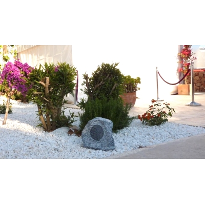 Двухполосный ландшафтный громкоговоритель ROCK20