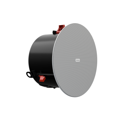 Двухполосный потолочный громкоговоритель