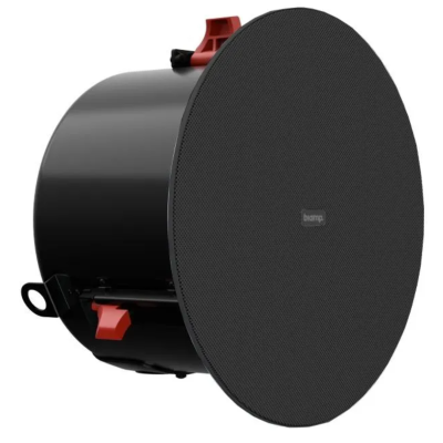 Двухполосный потолочный громкоговоритель