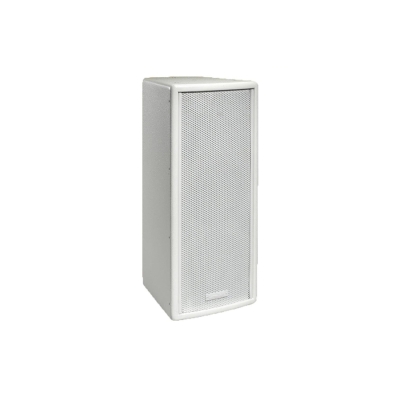 Двухполосный настенный громкоговоритель