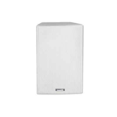 Двухполосный настенный громкоговоритель